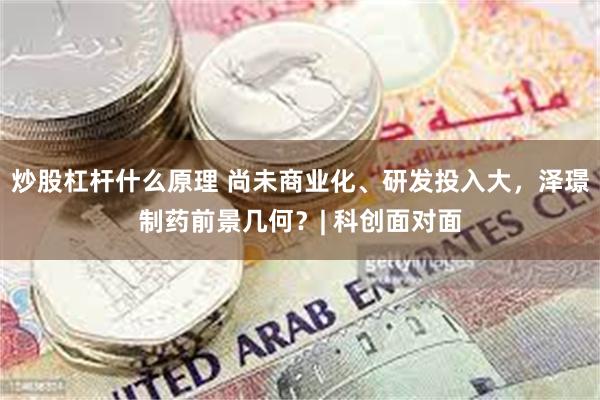 炒股杠杆什么原理 尚未商业化、研发投入大，泽璟制药前景几何？| 科创面对面