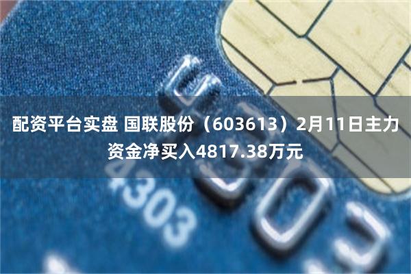 配资平台实盘 国联股份（603613）2月11日主力资金净买入4817.38万元