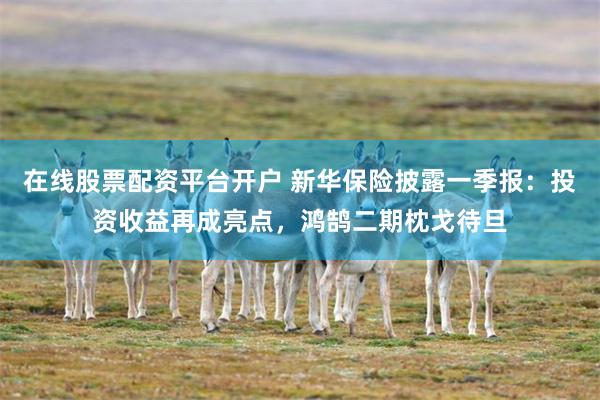在线股票配资平台开户 新华保险披露一季报：投资收益再成亮点，鸿鹄二期枕戈待旦