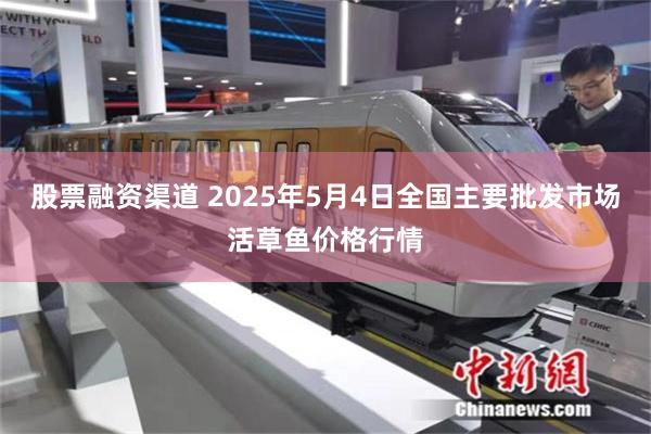 股票融资渠道 2025年5月4日全国主要批发市场活草鱼价格行情