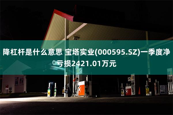降杠杆是什么意思 宝塔实业(000595.SZ)一季度净亏损2421.01万元