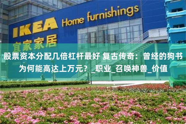 股票资本分配几倍杠杆最好 复古传奇：曾经的狗书为何能高达上万元？_职业_召唤神兽_价值