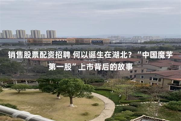 销售股票配资招聘 何以诞生在湖北？“中国魔芋第一股”上市背后的故事
