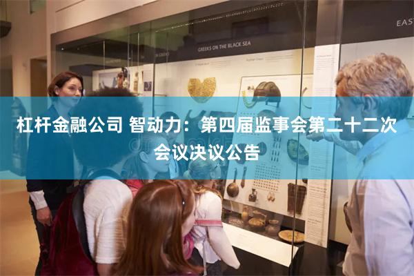 杠杆金融公司 智动力：第四届监事会第二十二次会议决议公告