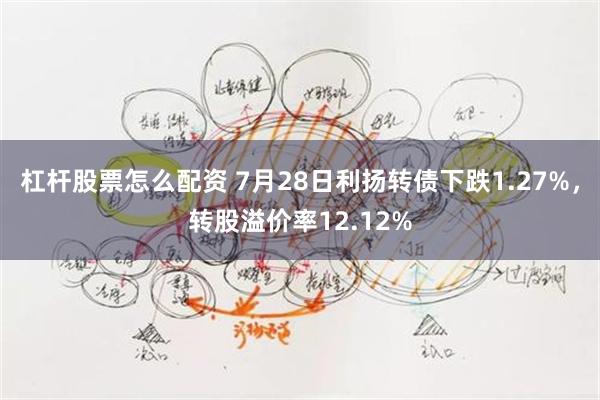 杠杆股票怎么配资 7月28日利扬转债下跌1.27%，转股溢价率12.12%