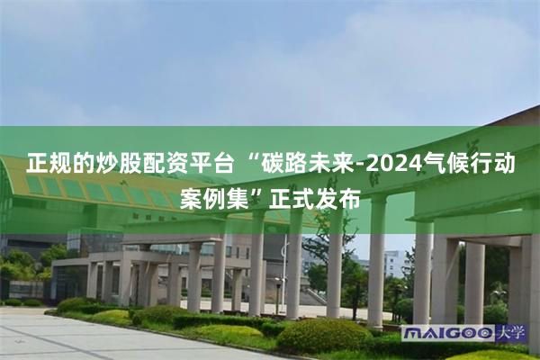 正规的炒股配资平台 “碳路未来-2024气候行动案例集”正式发布