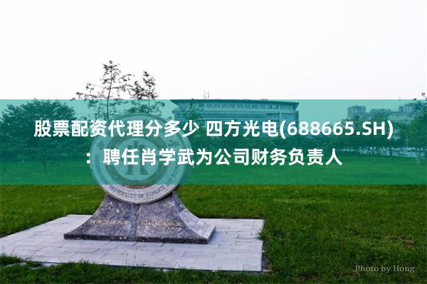 股票配资代理分多少 四方光电(688665.SH)：聘任肖学武为公司财务负责人