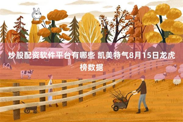 炒股配资软件平台有哪些 凯美特气8月15日龙虎榜数据