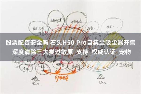 股票配资安全吗 石头H50 Pro自集尘吸尘器开售 深度清除三大类过敏原_支持_权威认证_宠物