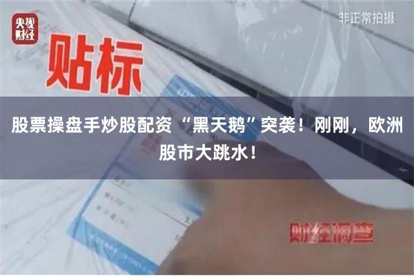股票操盘手炒股配资 “黑天鹅”突袭！刚刚，欧洲股市大跳水！
