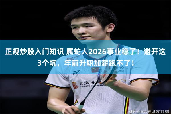正规炒股入门知识 属蛇人2026事业稳了！避开这3个坑，年前升职加薪跑不了！
